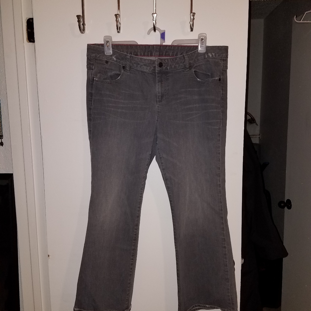 Talbots Bootcut Plus Sized WP Jeans